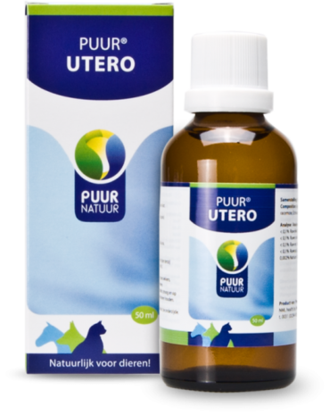 PUUR UTERO