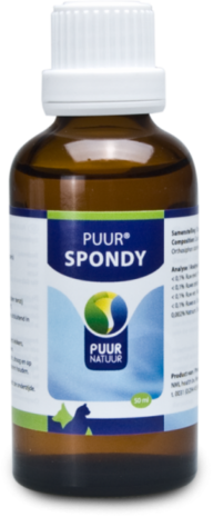 PUUR SPONDY