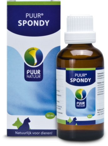 PUUR SPONDY