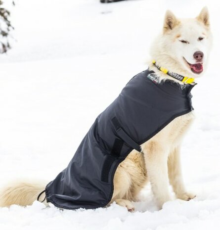 DOG COAT