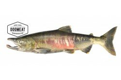 ZALMTRIMMINGS - 500 GRAM | ENKEL AFHALEN OP BESTELLING