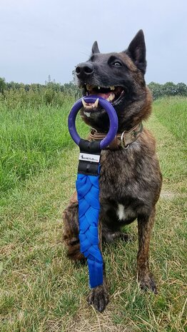IMPETUSdog PULLED RING - S