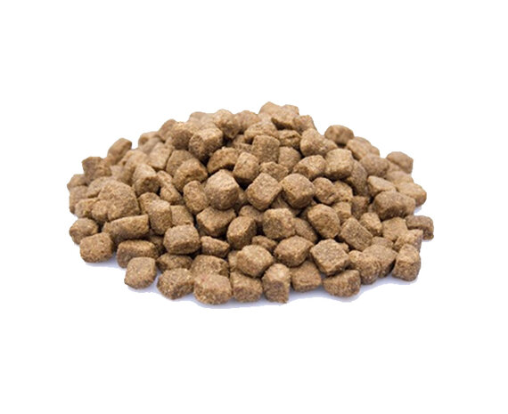 PREMIUM LAM &amp; RIJST | 20 KG