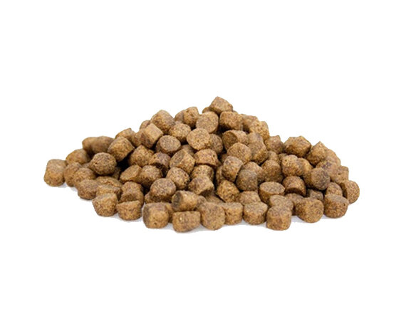 Super Premium High Energy voor sport en werkhonden