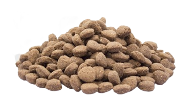 Super Premium Zalm Aardappel