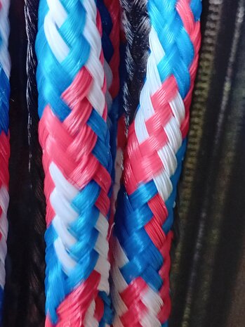 Kleur leadsectie