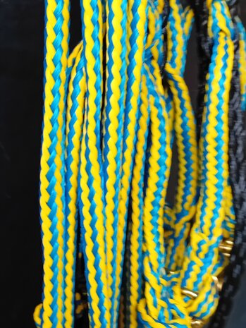 kleur leadsectie