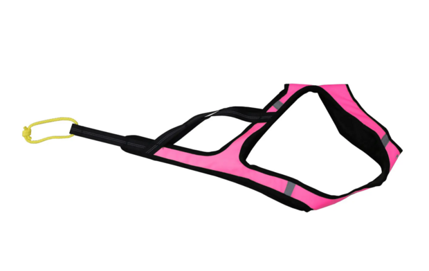 Axaeco X shirt harnas - pink