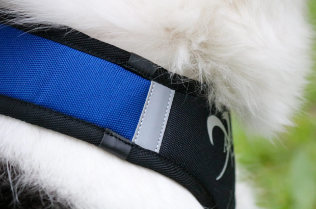 Axaeco X shirt harnas 2.0 