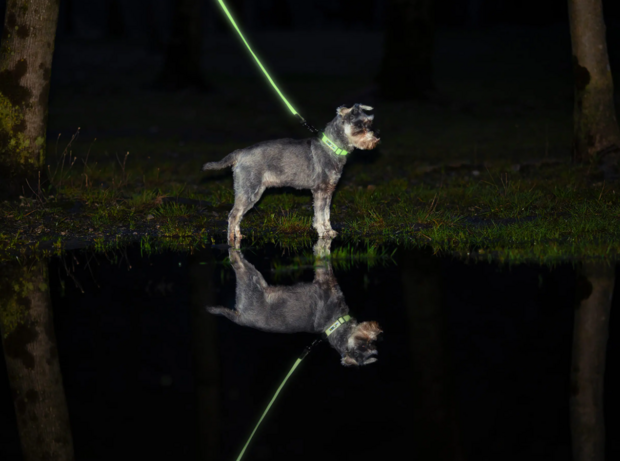 AXAECO GALAXY COLLAR 