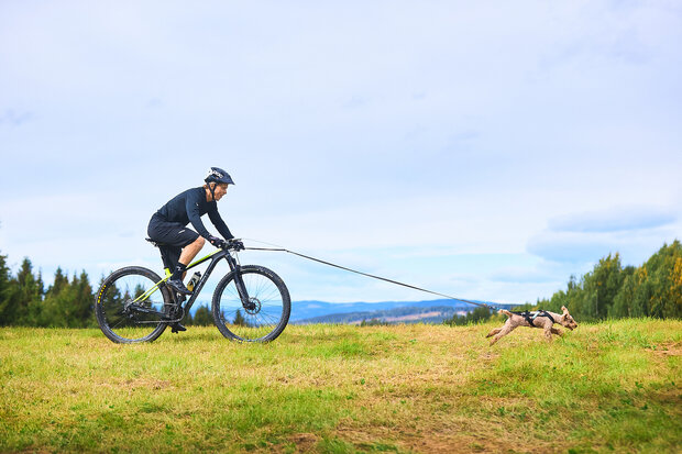 NON-STOP BIKE/STEP ANTENNE