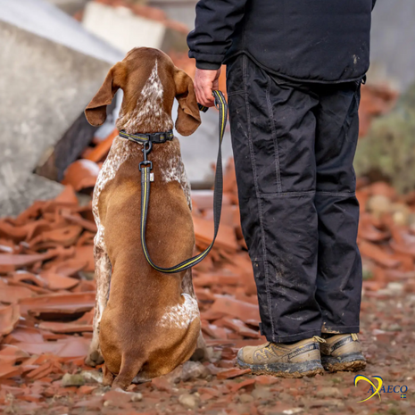 AXAECO 4 SEASON LEASH - L