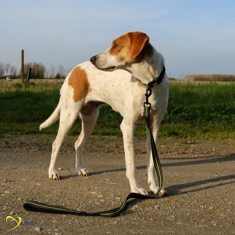 AXAECO 4 SEASON LEASH - L