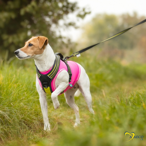 AXAECO 4 SEASON LEASH - S