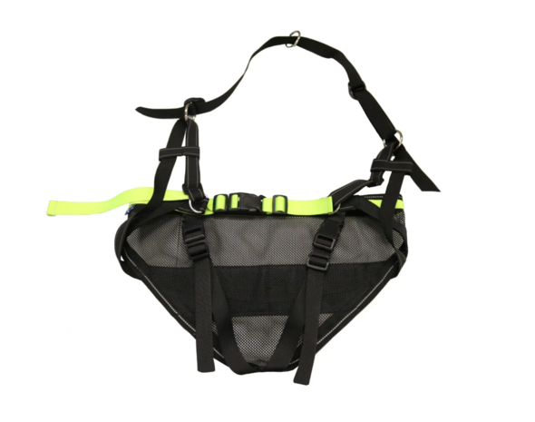 Axaeco Racing Belt