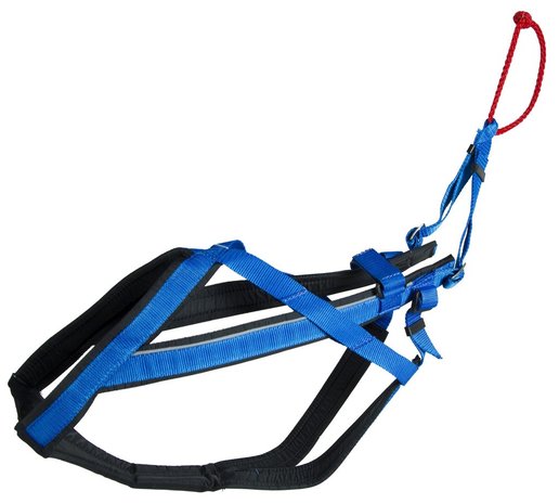 Neewa adjustable harness
