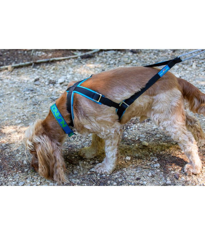Open-back harnas voor kleine honden v/a 5 kg Run | Dog sport equipment