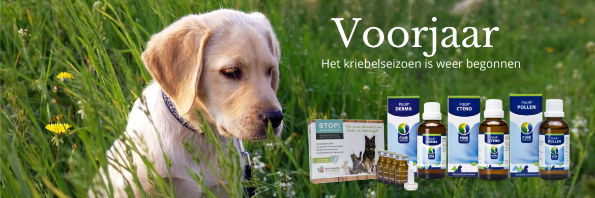 VOORJAARSKRIEBELS VOORJAARSKRIEBELS