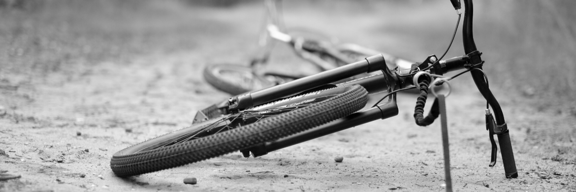 BIKE ANTENNE BIKE-ANTENNE