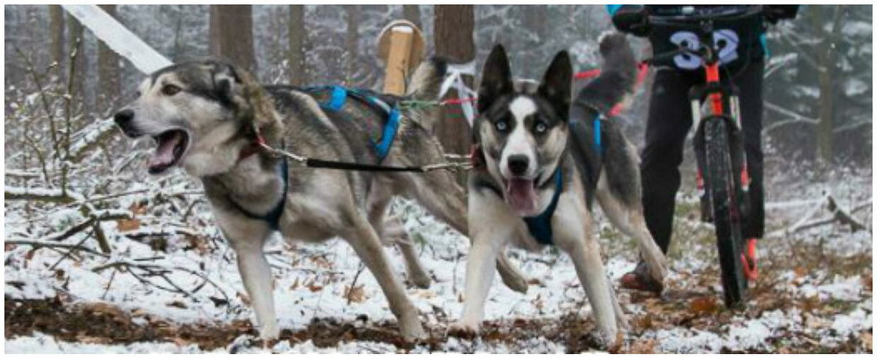 CHECK EN ONDERHOUD UITRUSTING 