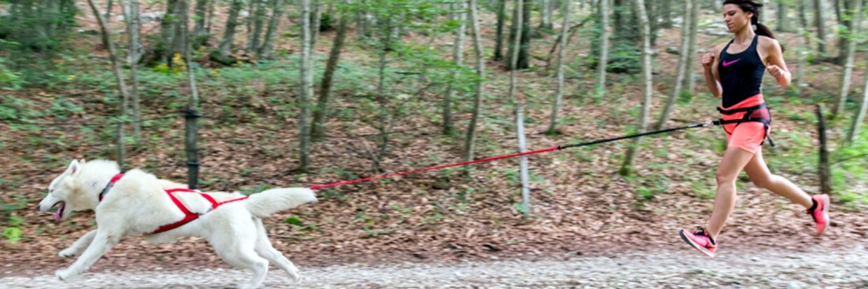 WELK TYPE HEUPGORDEL PAST BIJ JOU?