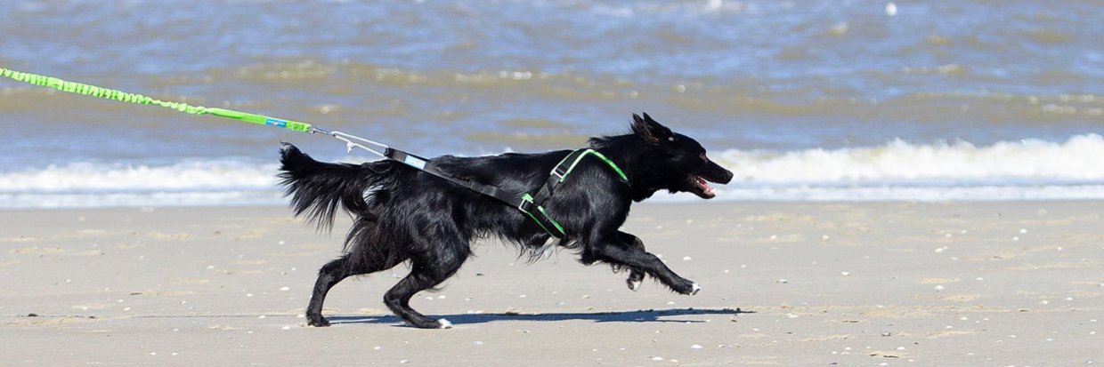 DE FUNCTIE VAN DE KONTLIJN 