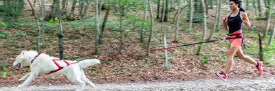 WELK TYPE HEUPGORDEL PAST BIJ JOU?