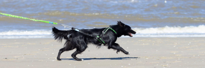 DE FUNCTIE VAN DE KONTLIJN 