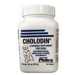 Cholodin | Hond