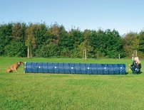 Agility basic tunnel