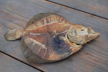Scholletjes | 150 gram