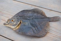 Scholletjes | 150 gram