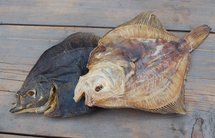 Scholletjes | 150 gram