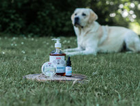 Tea Tree Olie met Arganolie
