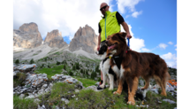 Running Harnas | Roze