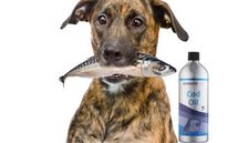 Icelandpet Cod Oil | 250 ml