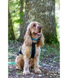 Inlandsis open-back harnas - voor kleine honden onder de 15 KG