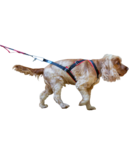 Inlandsis open-back harnas - voor kleine honden onder de 15 KG