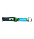 Inlandsis collar
