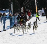 Inlandsis Polar Quest - Trekharnas