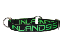 Inlandsis collar