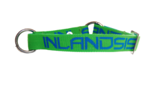 Inlandsis collar