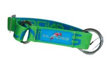 Inlandsis collar