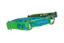 Inlandsis collar