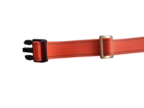 Halsband met steekslot & veiligheidsring