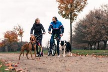 Yedoo dog adapter| Lijnuithouder