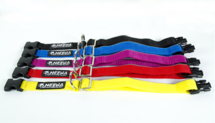 Tagging Pet Collar | verstelbare halsband met sterke clicksluiting