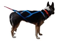 Sleddog Pro harnas | X Back harnas
