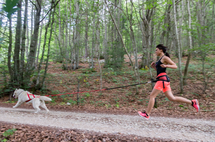 Sleddog Pro harnas | X Back harnas