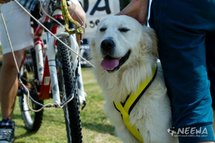 Sleddog Pro harnas | X Back harnas
